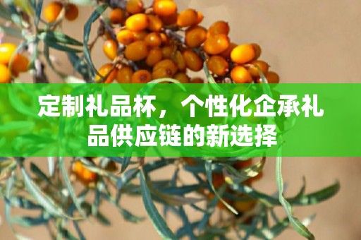 定制礼品杯，个性化企承礼品供应链的新选择
