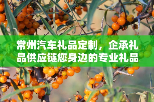 常州汽车礼品定制，企承礼品供应链您身边的专业礼品定制公司